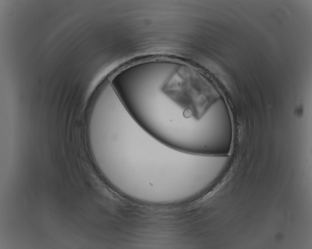 X0000093571069200710151012