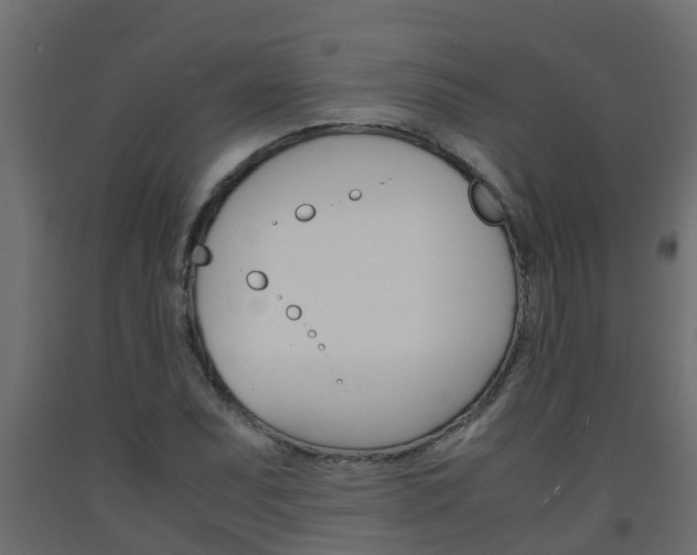 X0000093571071200710151012