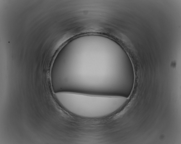 X0000093571073200710151012