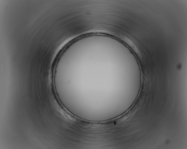 X0000093571076200710151012