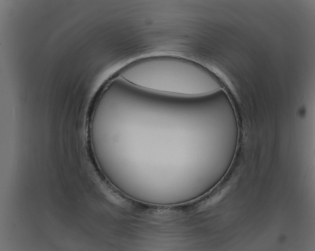 X0000093571077200710151011