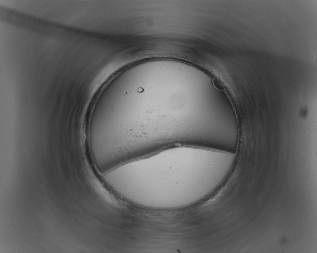 X0000093571082200710151011