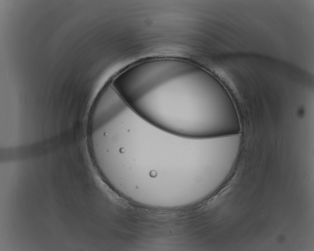 X0000093571085200710151011