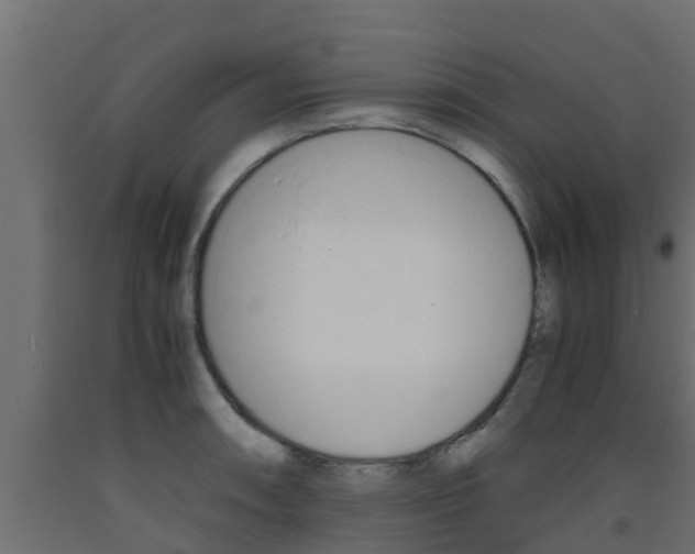 X0000093571090200710151011