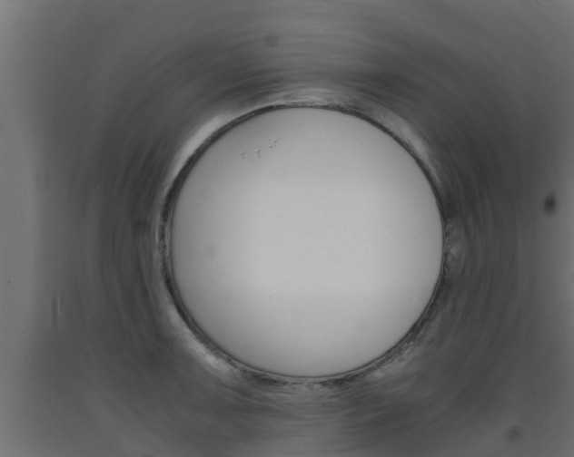 X0000093571091200710151011