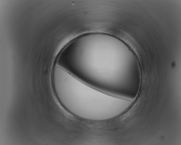 X0000093571093200710151011