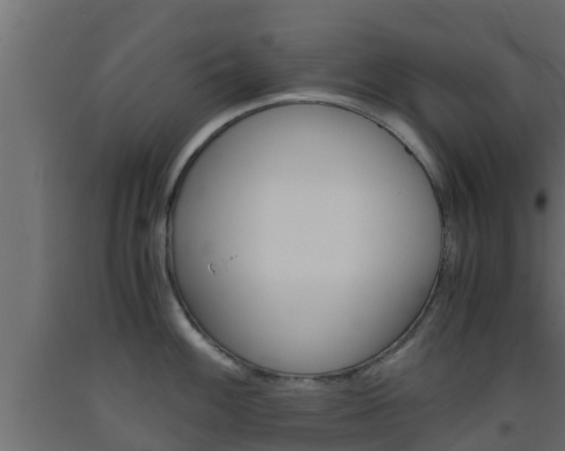 X0000093571100200710151011