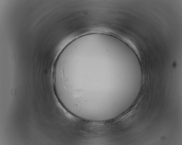 X0000093571103200710151011