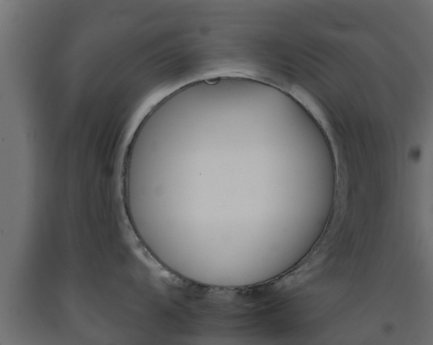 X0000093571104200710151011