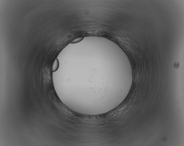 X0000093571106200710151011