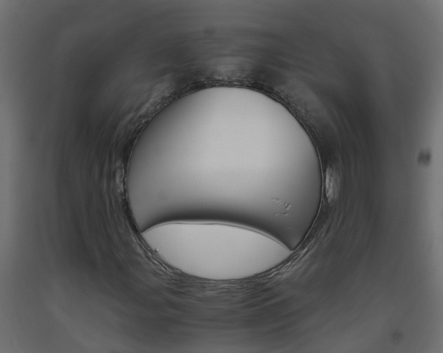 X0000093571107200710151011