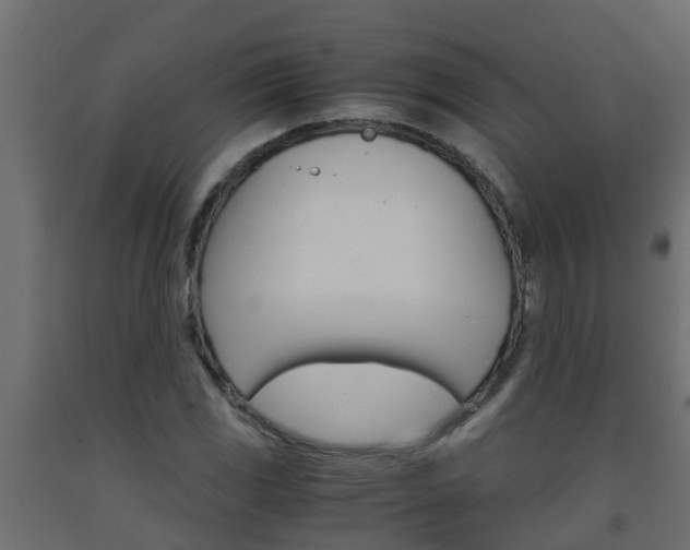 X0000093571117200710151011