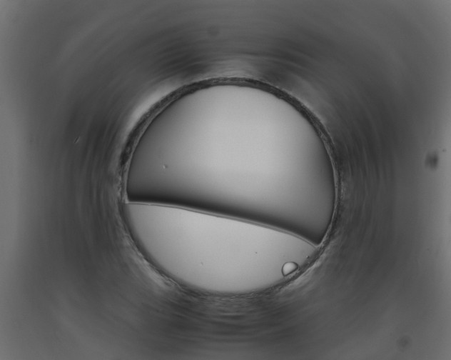 X0000093571119200710151011