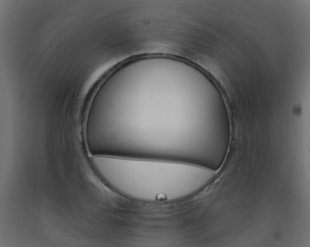X0000093571120200710151011