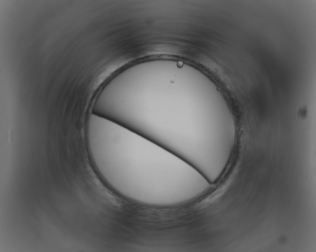 X0000093571121200710151011