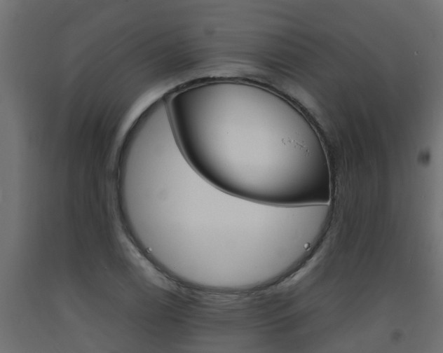 X0000093571122200710151011
