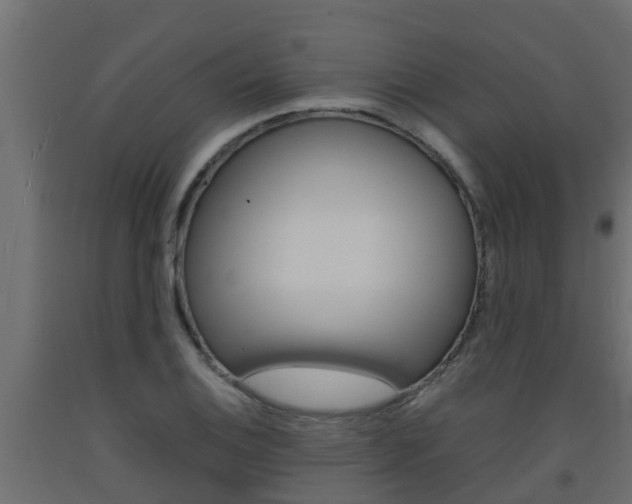 X0000093571124200710151011