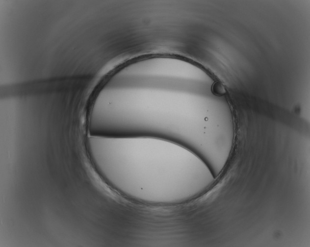 X0000093571126200710151011