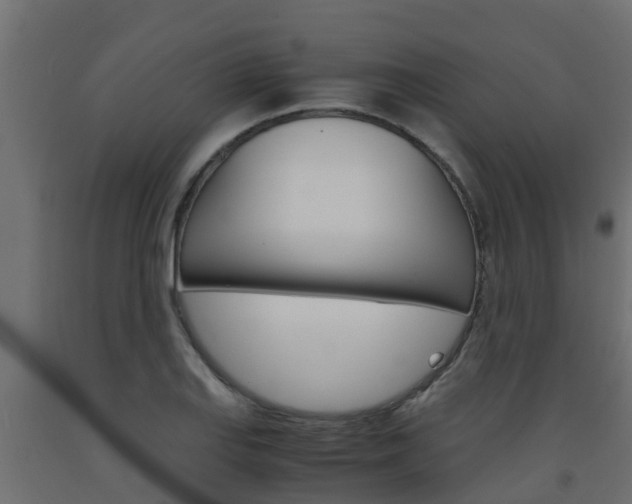 X0000093571127200710151011