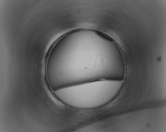 X0000093571128200710151011