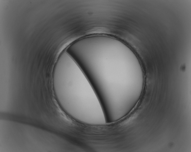 X0000093571129200710151011