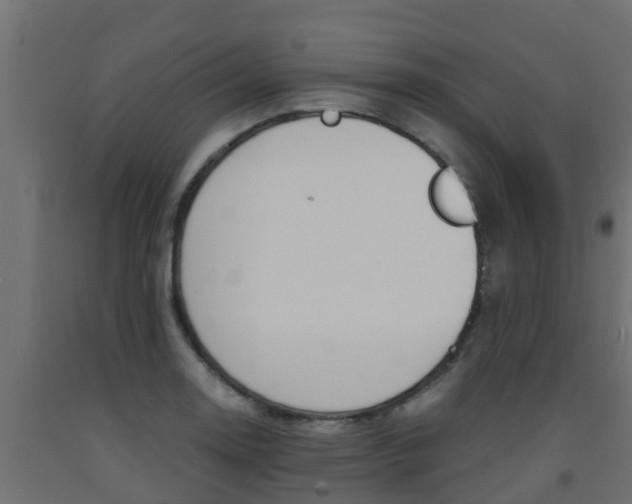 X0000093571130200710151011