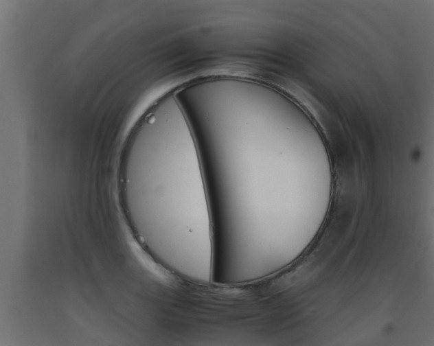 X0000093571131200710151011