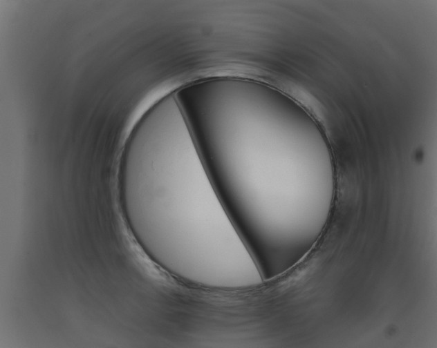 X0000093571138200710151011