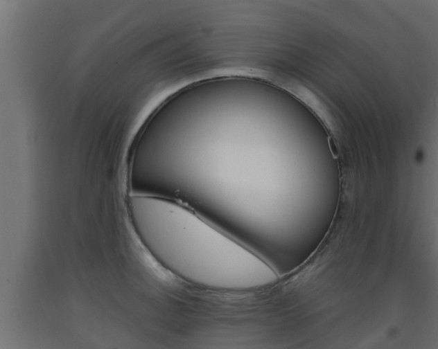 X0000093571140200710151011