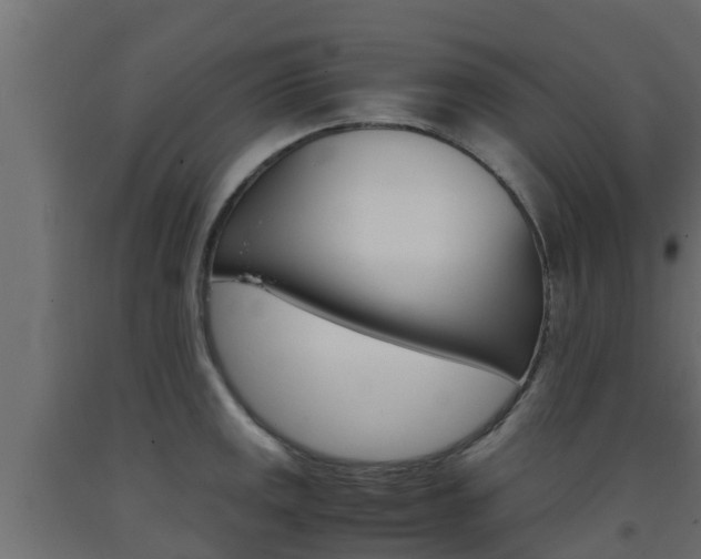 X0000093571141200710151011