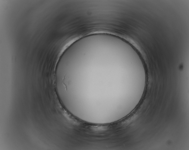 X0000093571145200710151011