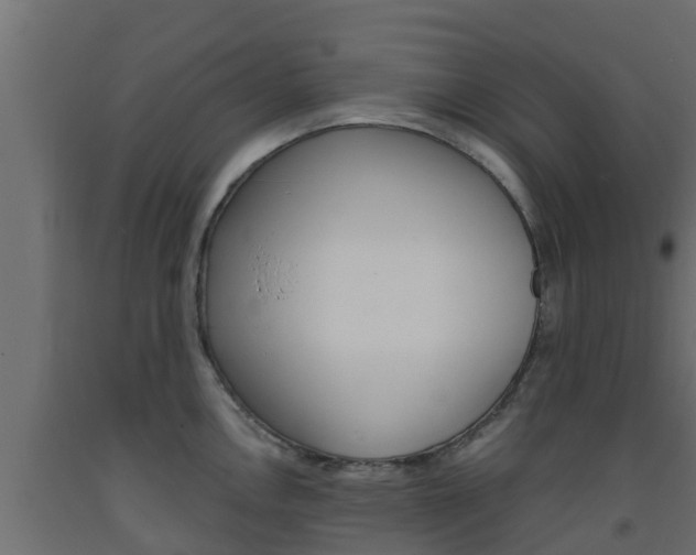 X0000093571146200710151011