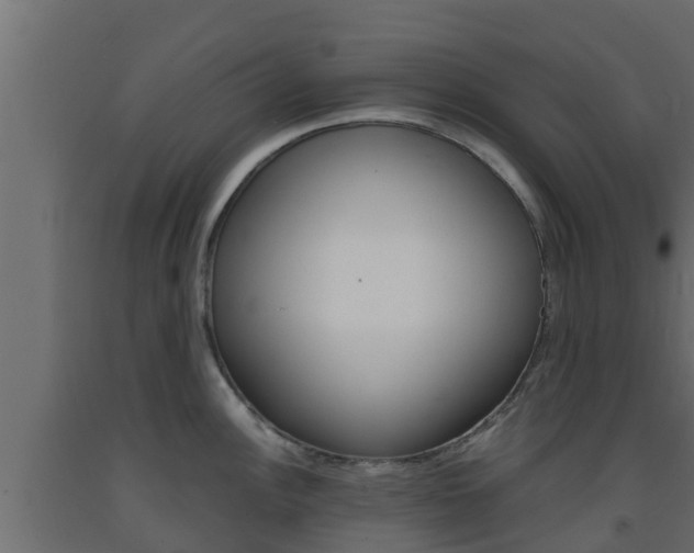 X0000093571148200710151011