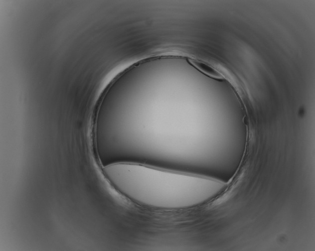 X0000093571149200710151011