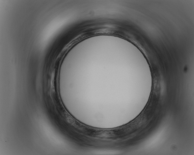 X0000093571150200710151011