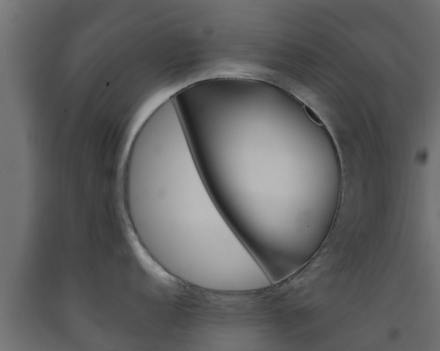 X0000093571152200710151011