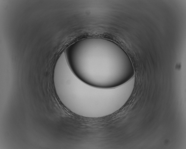 X0000093571153200710151011