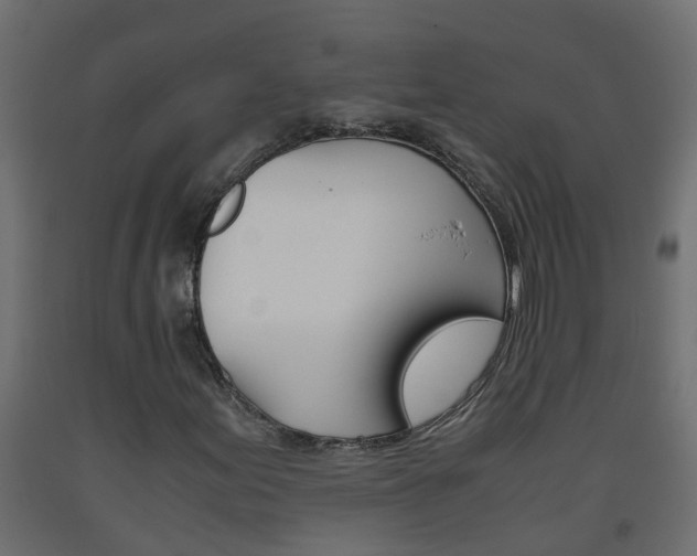 X0000093571155200710151011