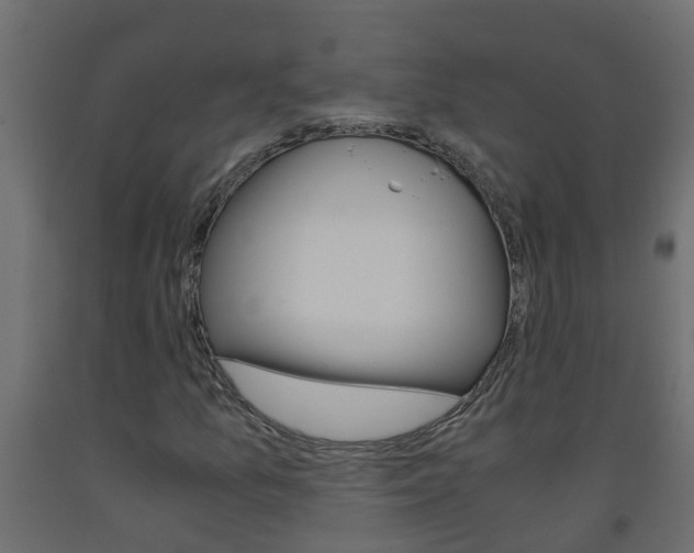 X0000093571157200710151010