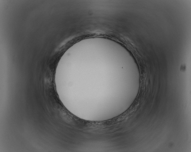 X0000093571158200710151010