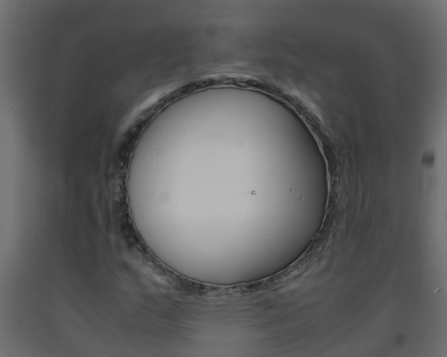 X0000093571159200710151010