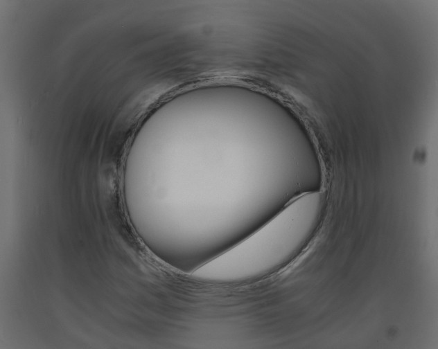 X0000093571161200710151010