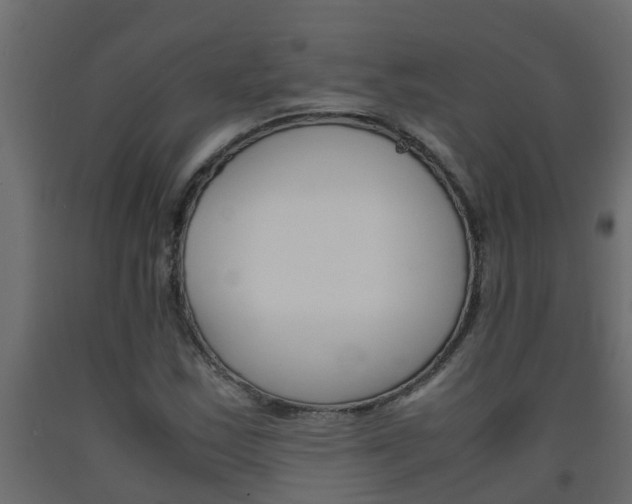 X0000093571163200710151010