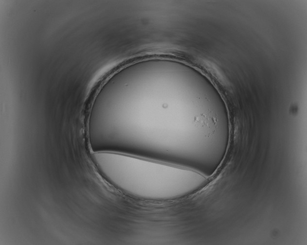 X0000093571164200710151010