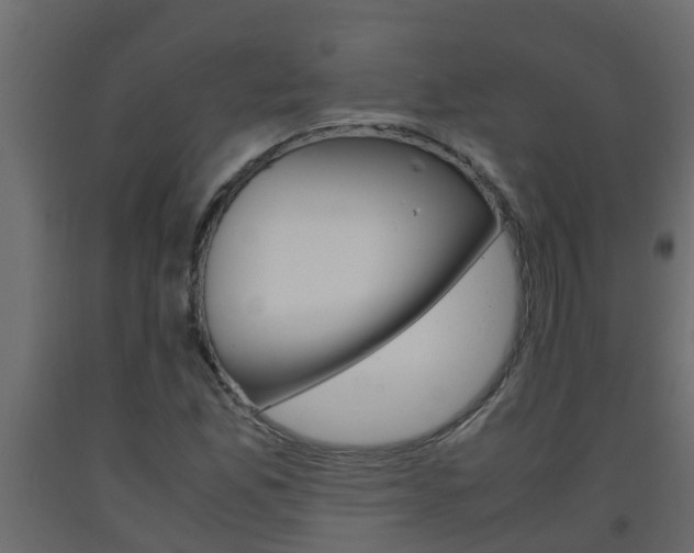 X0000093571165200710151010