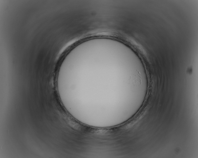 X0000093571166200710151010