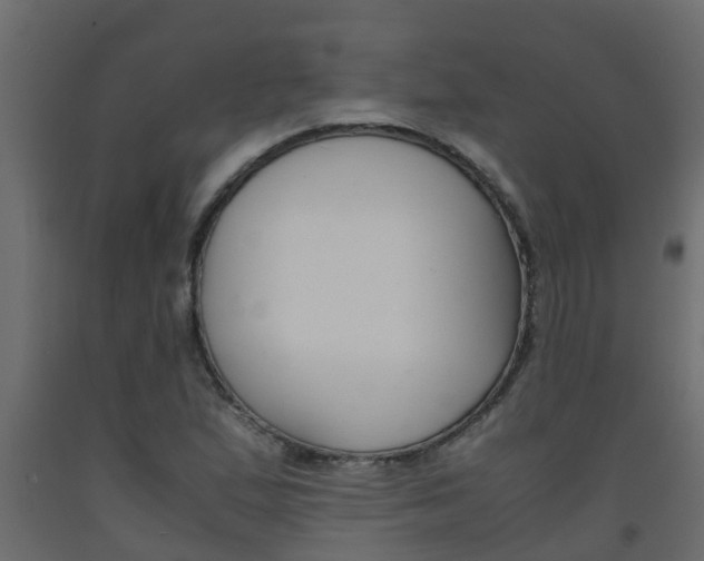 X0000093571167200710151010
