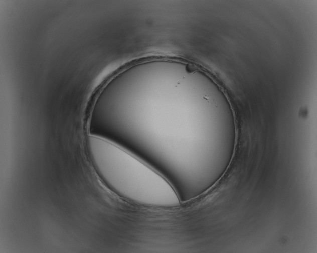 X0000093571168200710151010