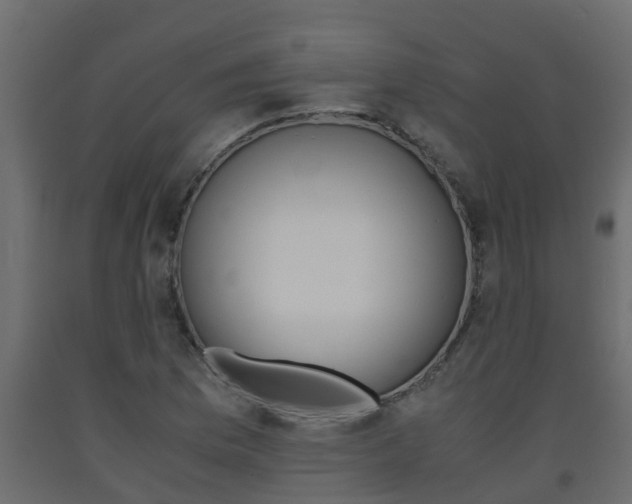 X0000093571169200710151010