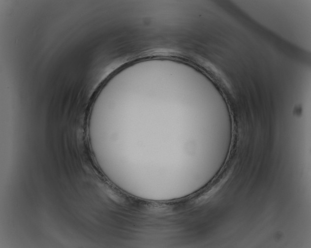 X0000093571170200710151010